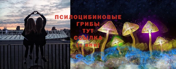 mix Богородск