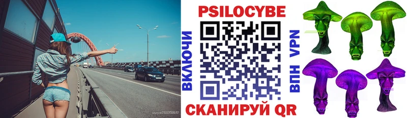 где купить   Дальнегорск  Псилоцибиновые грибы мицелий 
